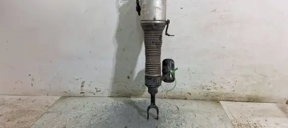 Volkswagen Phaeton Front shock absorber/damper 3D0616040T