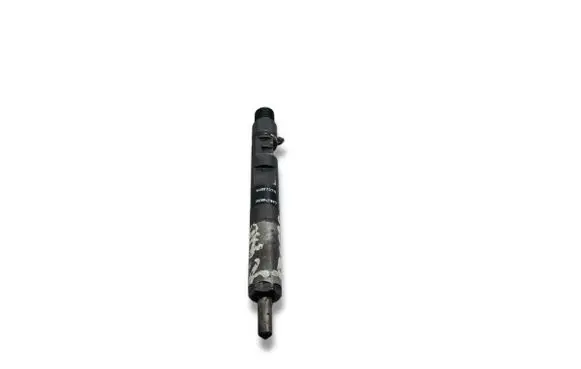 Renault Kangoo II Fuel injector 28232251 166001137R