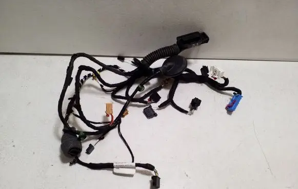 Volkswagen Golf VIII Front door wiring loom 5H4971162BL