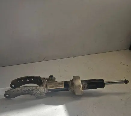 Audi Q7 4L Front shock absorber/damper 7L8413032E