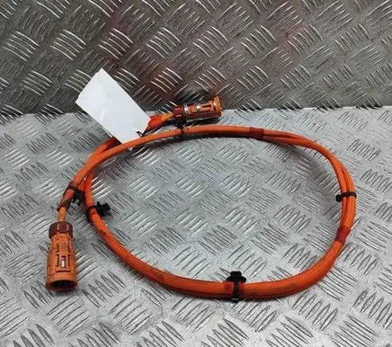 BMW X2 U10 Other wiring loom 5A1CA69