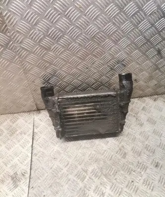 Volkswagen PASSAT B5 Intercooler radiator