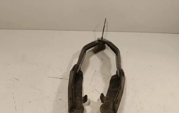 Tailgate/trunk/boot hinge