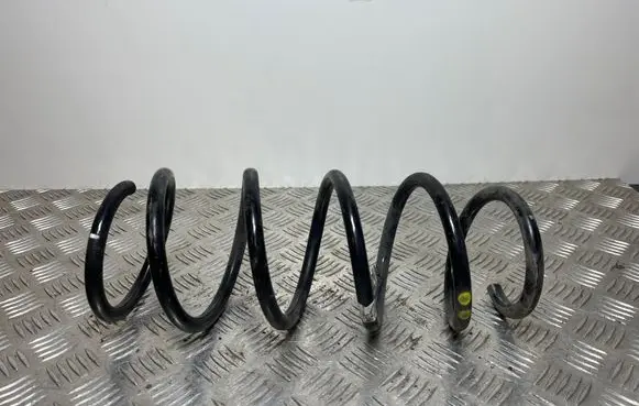 Fiat 500X Front coil spring