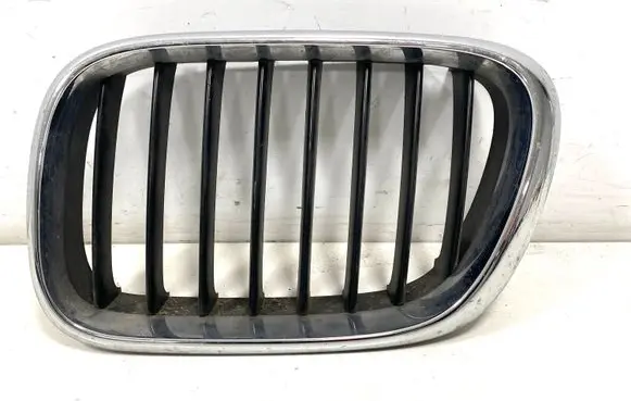 BMW X5 E53 Front bumper upper radiator grill 8247673