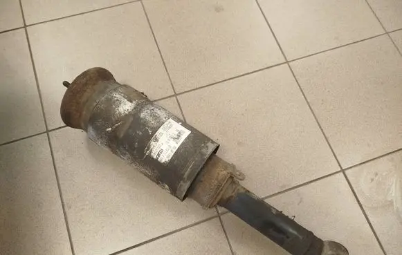 Land Rover Range Rover Sport L320 Air suspension front shock absorber RNB501220 22238305