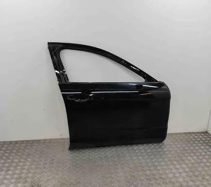 Porsche Panamera (971) Front door 971831312