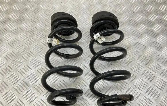 Rear coil spring