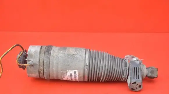Audi Q7 4L Rear shock absorber/damper 7L8616020A