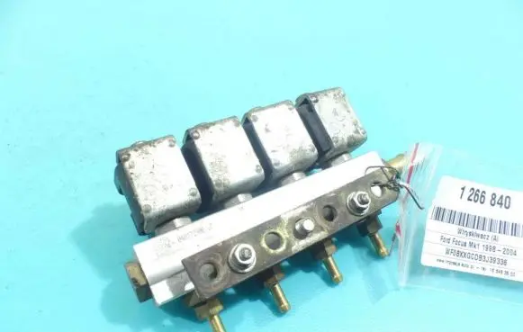 Ford Focus LP gas injector E2067R-010973 IMPRK1266840