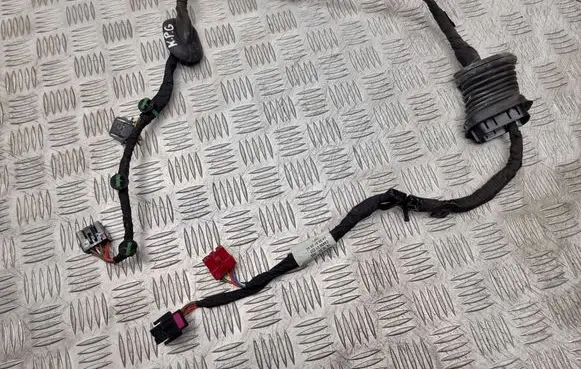 Volkswagen Phaeton Rear door wiring loom 3D0971615R
