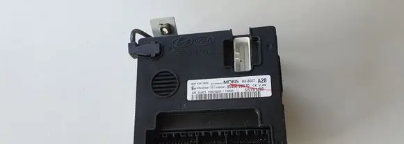 Hyundai Santa Fe Other control units/modules