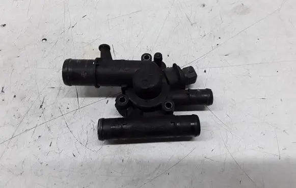 Thermostat/thermostat housing