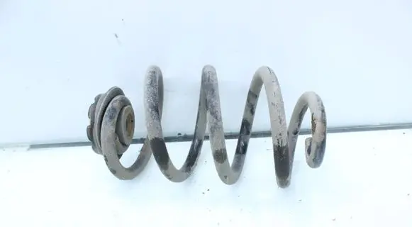 Nissan Juke I F15 Rear coil spring