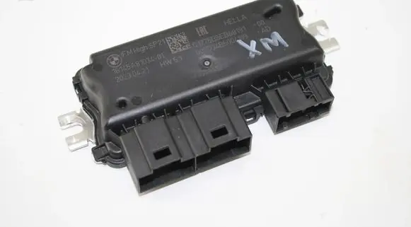 BMW XM Fuel injection pump control unit/module 5A81034 16145A81034
