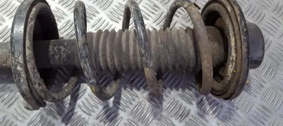 Front coil spring