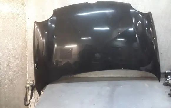 Engine bonnet/hood