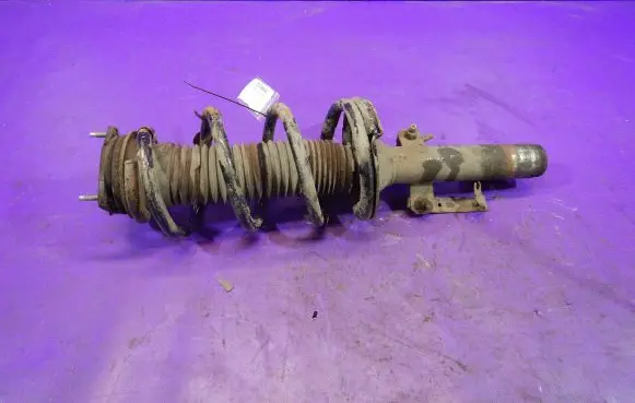 Ford Transit - Tourneo Connect Front shock absorber with coil spring