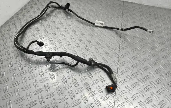 Other wiring loom