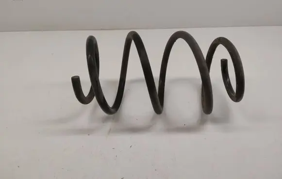 Renault Latitude (L70) Front coil spring 