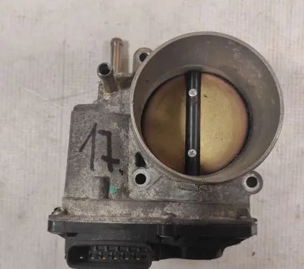 Nissan Pathfinder R51 Throttle valve 161197S001