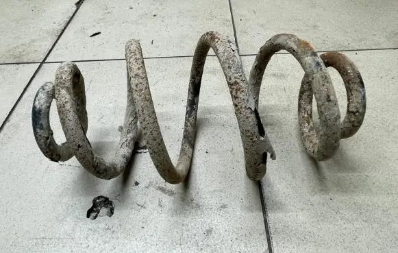 Volkswagen PASSAT B5 Rear coil spring