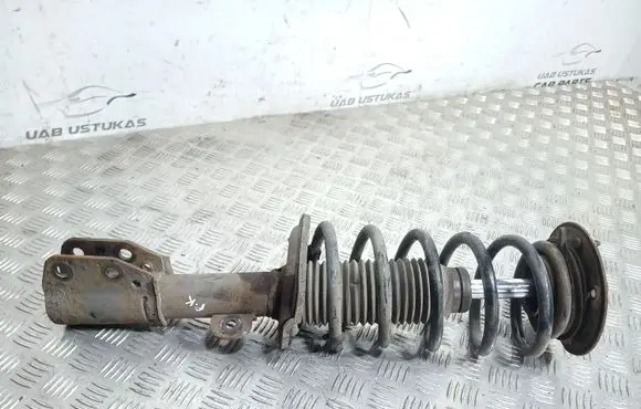 Chevrolet Captiva Front shock absorber/damper