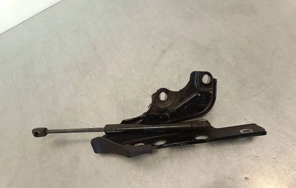 Audi A6 Allroad C7 Engine bonnet/hood hinges 4G882330