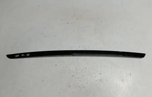 Citroen DS5 Windshield trim 9687247980