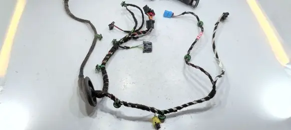 Volkswagen PASSAT B8 Front door wiring loom 3G1971120H