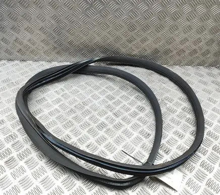 Mercedes-Benz GLE (W166 - C292) Rubber seal front coupe door A1666970051