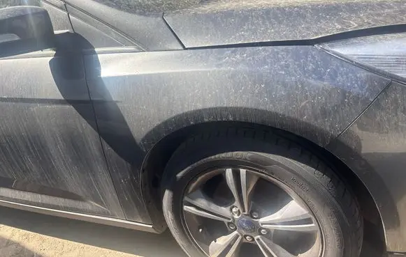 Ford Focus Fender