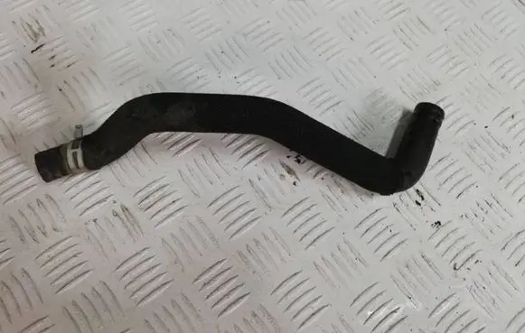 Dacia Sandero Engine coolant pipe/hose 924003535R