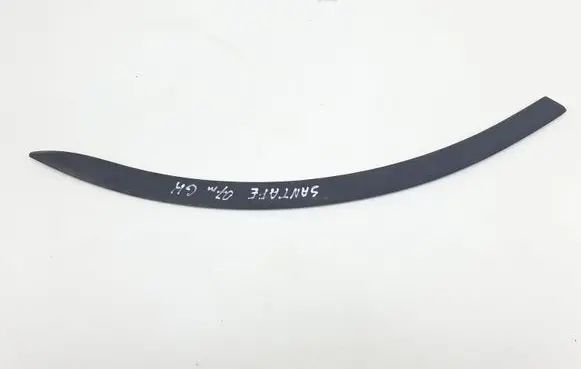 Hyundai Santa Fe Rear door trim (molding)