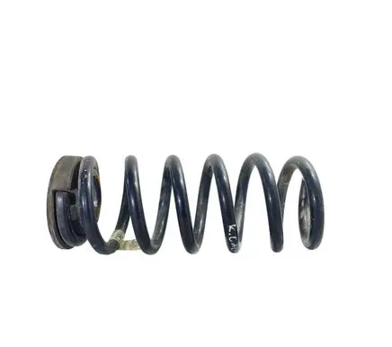 Ford Edge II Rear coil spring F2GC5560CND E1GC5599AXC