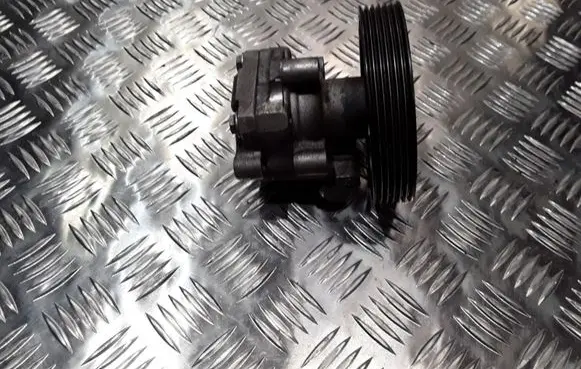 Mazda 2 Power steering pump 295C3A696DD