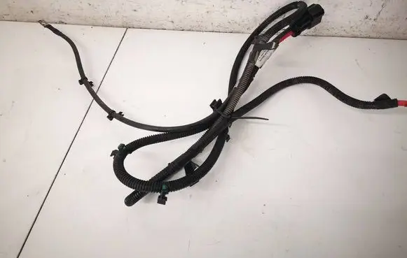 Tesla Model S Other wiring loom 103809600E