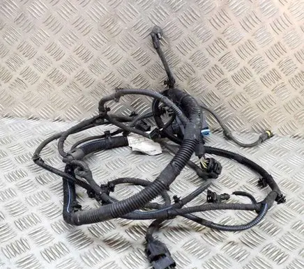 Maserati Levante Other wiring loom 670032366