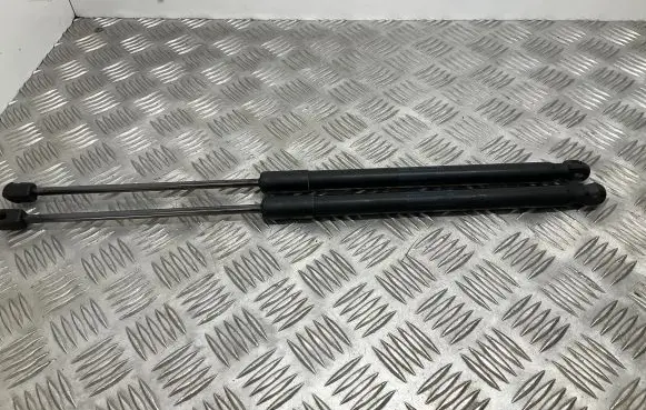 Tailgate/trunk strut/damper