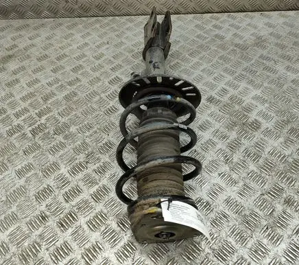 Citroen C5 Aircross Front shock absorber/damper 9833696680
