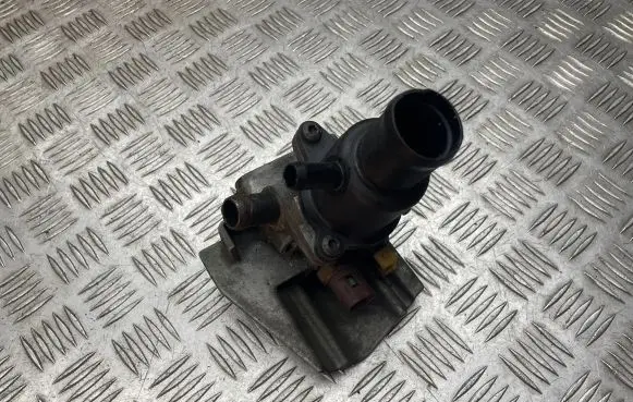 Thermostat/thermostat housing