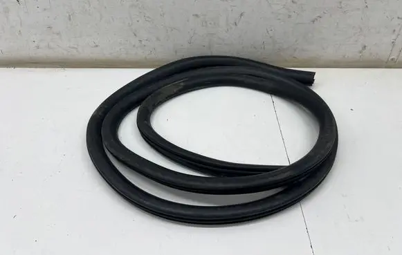 Ford Mustang Mach-E Front door rubber seal 