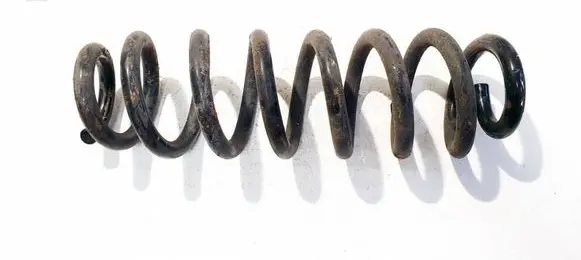 Opel Insignia B Rear coil spring AA6K