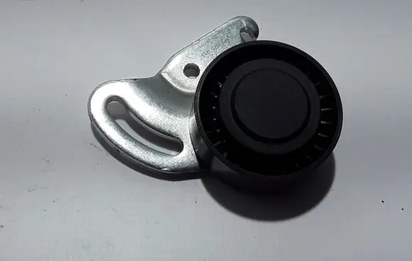 Renault Kangoo I Belt tensioner pulley 8200328372
