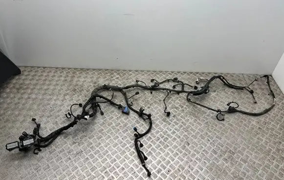 Engine installation wiring loom