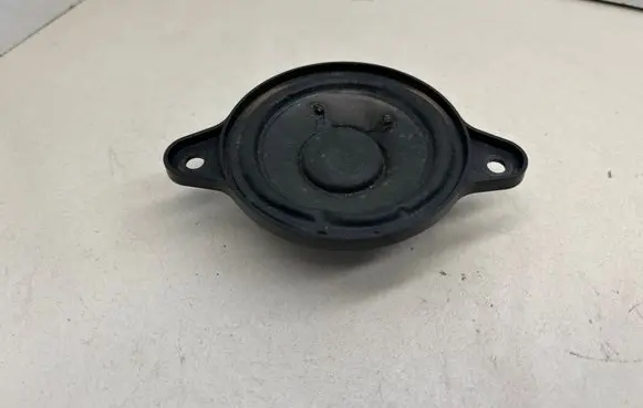 Panel speaker