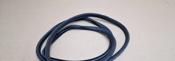 Renault Koleos I Front door rubber seal 