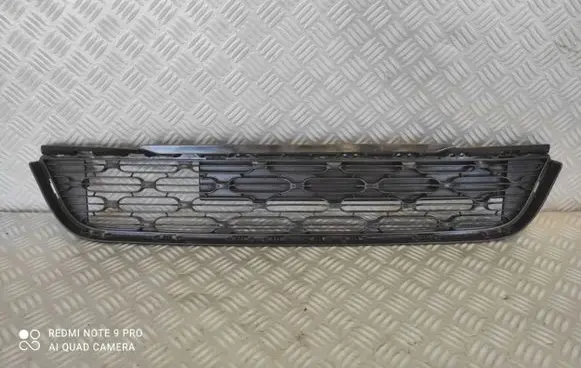 Citroen C3 Front bumper lower grill 9812062277