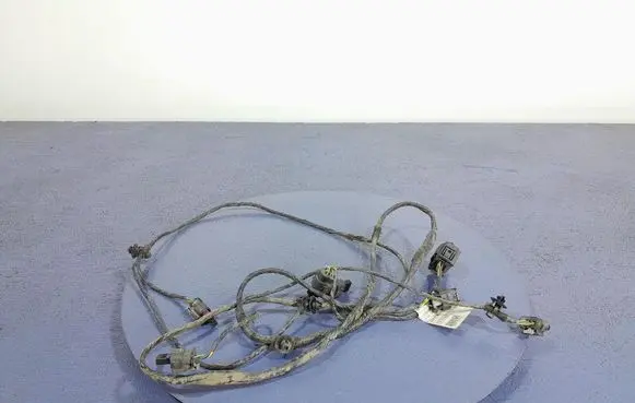Other wiring loom
