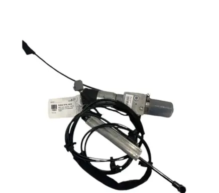 Tailgate/trunk control unit/module